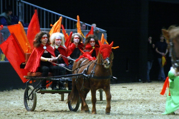 Pferd und Jagd 2008  086.jpg